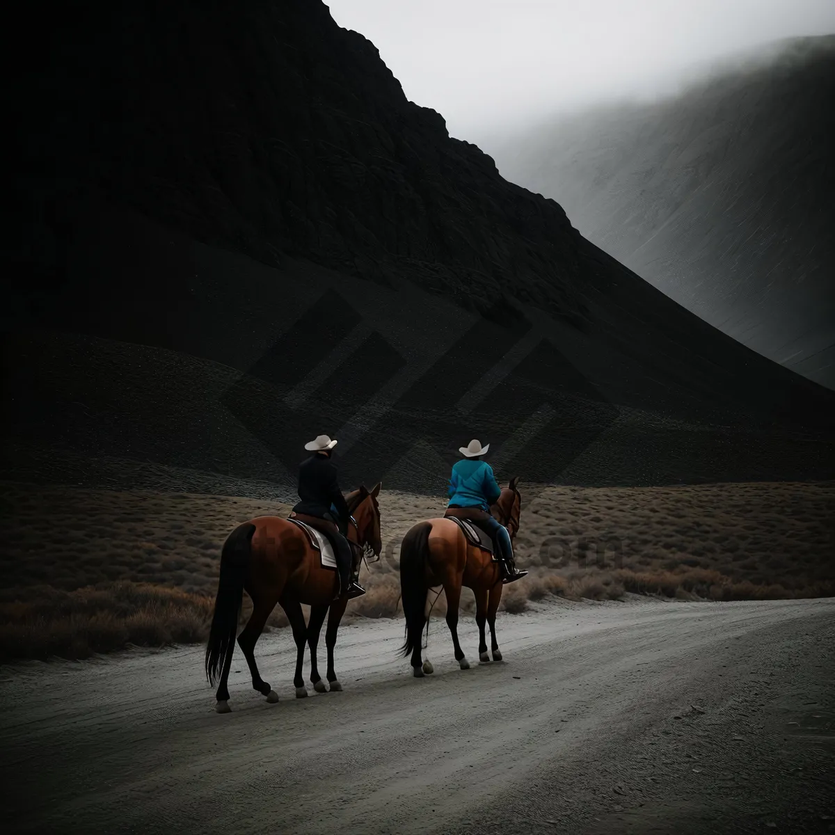 Picture of Stunning Wild Horses Galloping in Rural Landscape