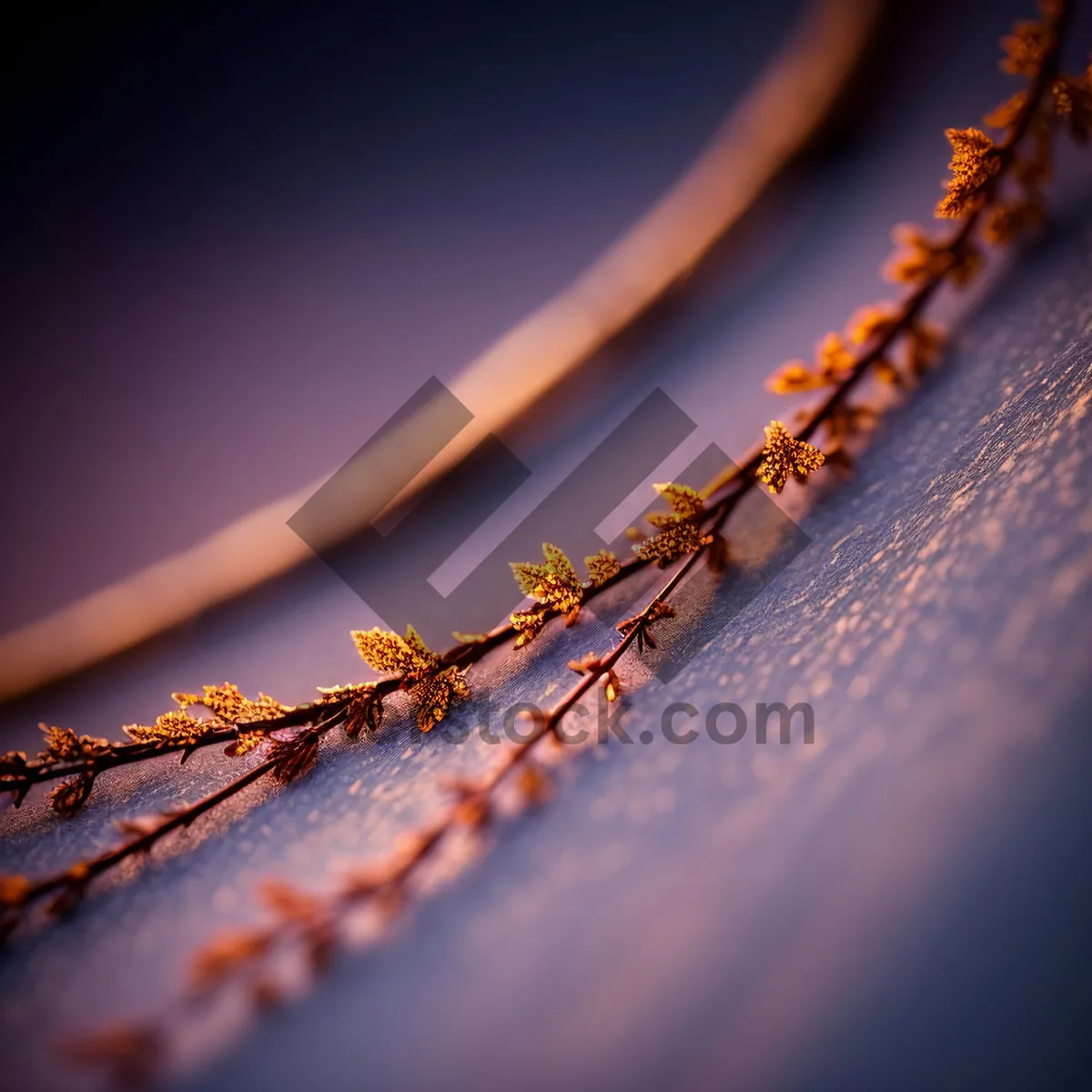 Picture of Invertebrate Arthropod Ant Walking on Spider Web