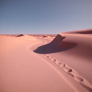 Desert Wing: Sand Dunes Meet Adventure in Sunny Skies