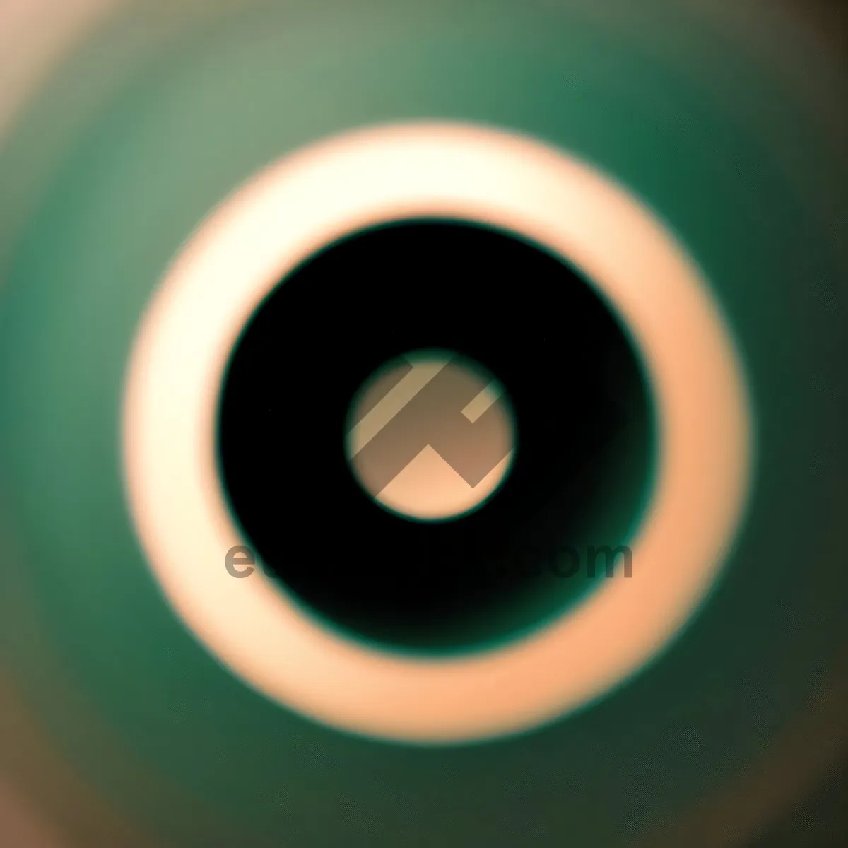 Picture of Digital Regulator: Controlling Aperture and Light in Black Circle