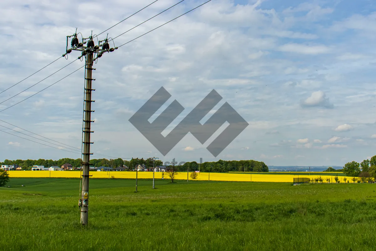 Picture of Yellow energy plant in rural landscape with clouds