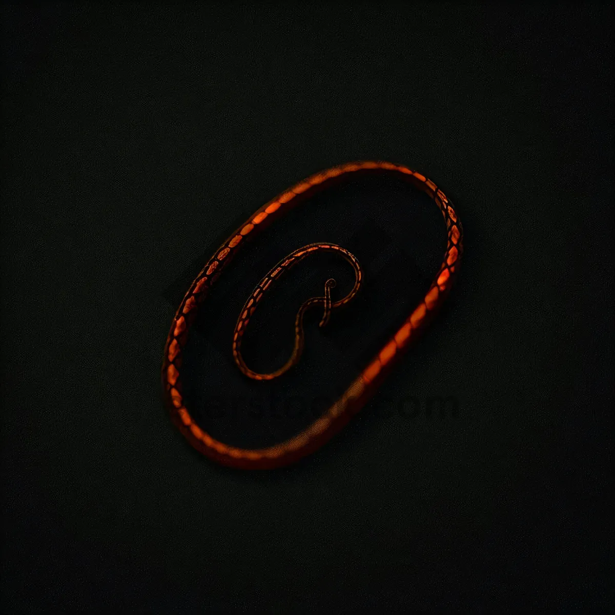 Picture of Elastic Black Coil: Artistic Spring Structure