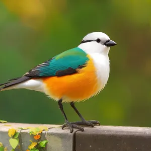 Cute Bird perched on Tree Branch