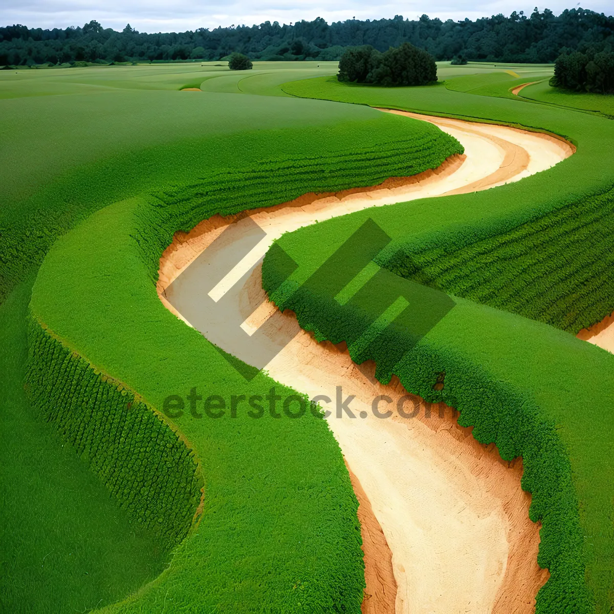 Picture of Serene Golf Course amidst Lush Greenery