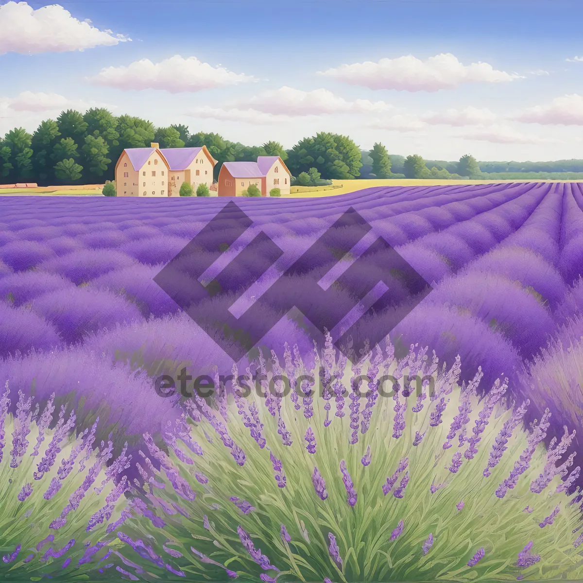 Picture of Majestic Lavender Blooms in Colorful Field