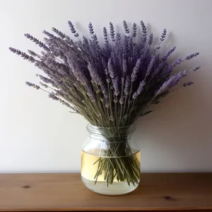 Vibrant Shaving Brush in an Illuminated Jar