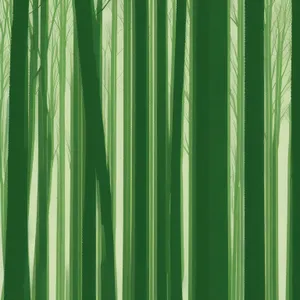 Striped Bamboo Texture Design - Colorful Wood Lines