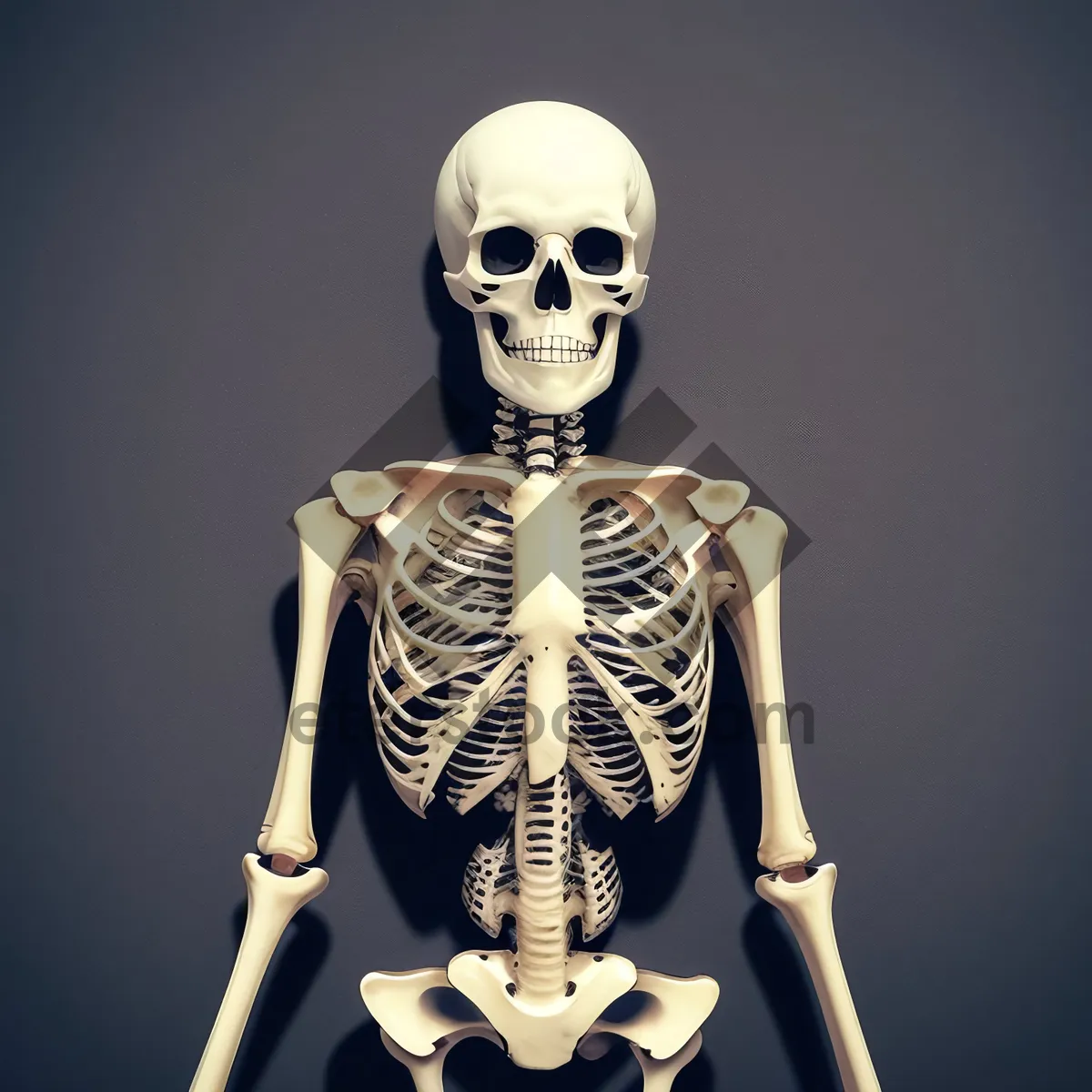 Picture of Spooky 3D Skeleton Sculpture