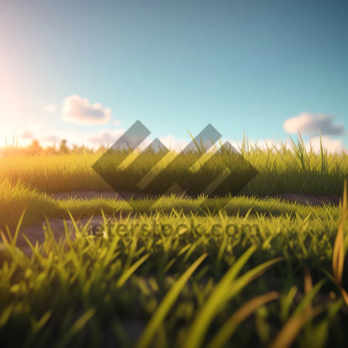 Picture of Agricultural Landscape under Clear Sky"
(Note: SEO specialists usually focus on optimizing website content for search engines. However, in this case, I have provided a short image description based on the provided tags.)