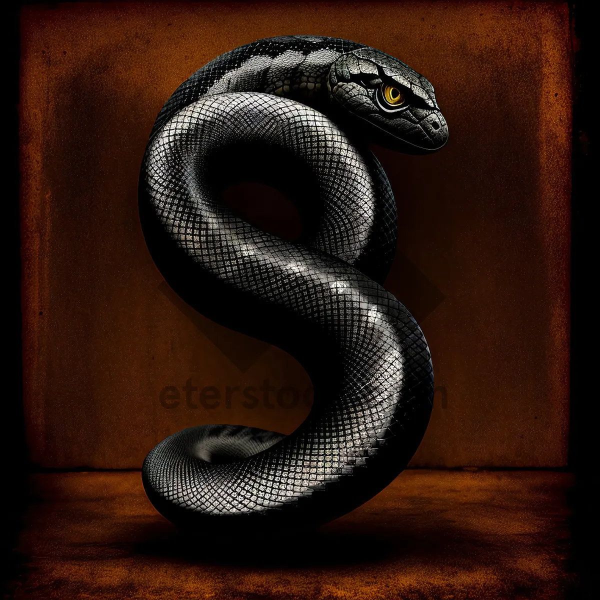 Picture of Dangerous Night Serpent: Majestic Cobra, Wild Viper