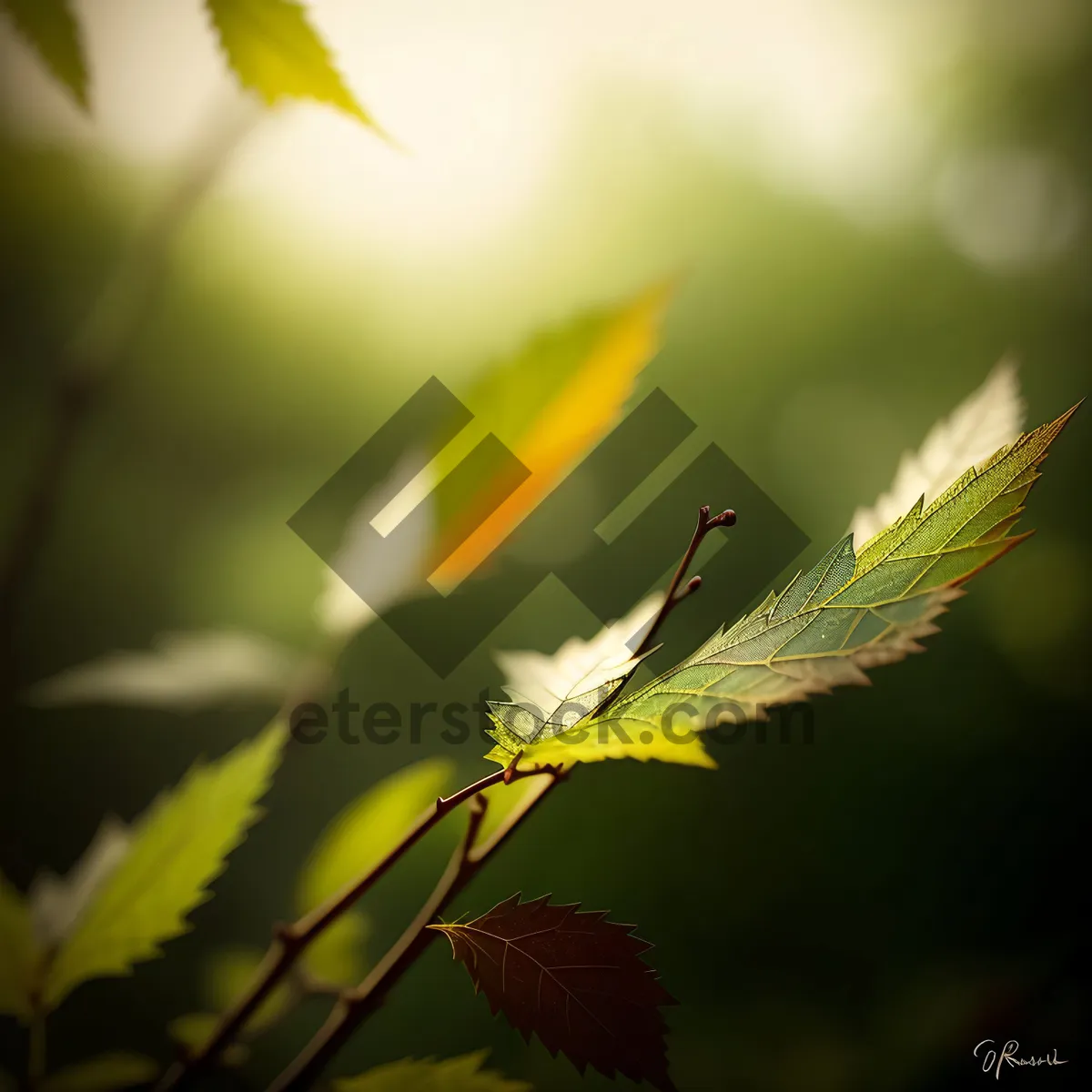 Picture of Vibrant Yellow Flower in Lush Garden