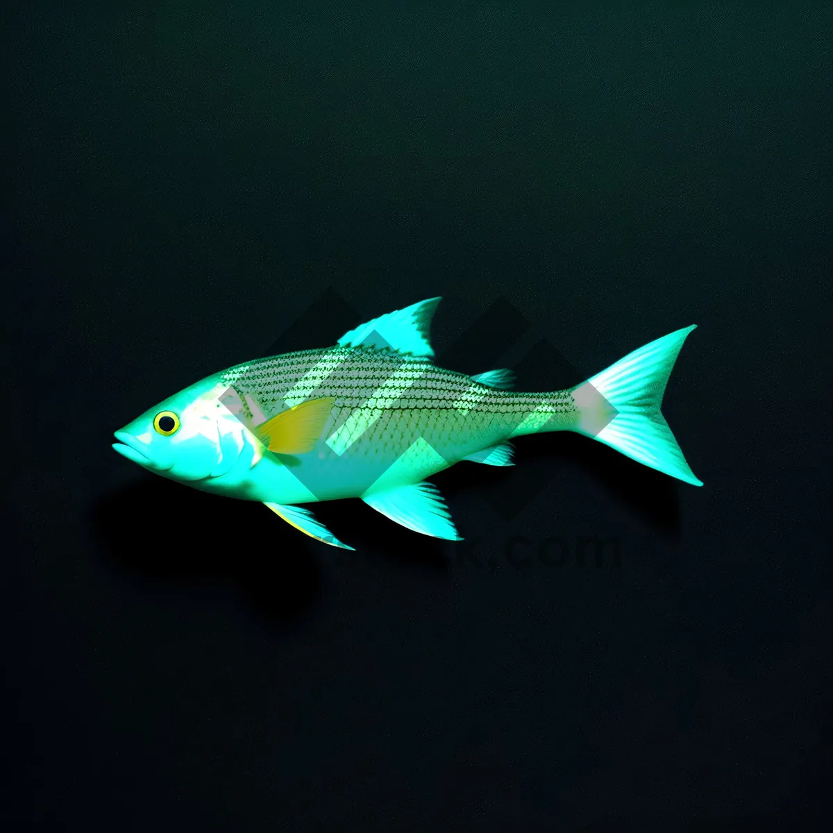 Picture of Colorful Reef Dive with Tropical Goldfish