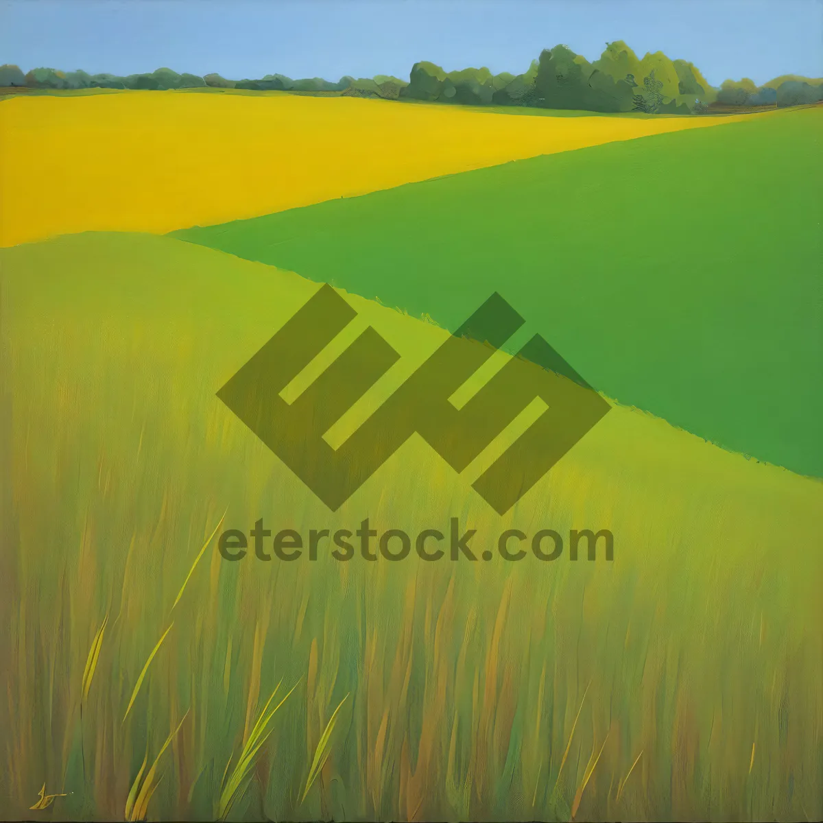 Picture of Golden Plains - Radiant Rapeseed Field Under Clear Skies