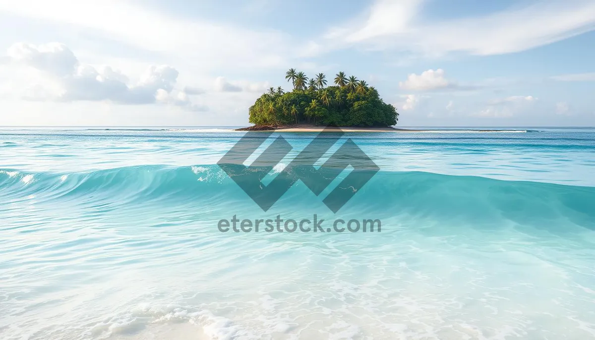 Picture of Tropical Beach Paradise with Calm Waves and Clear Sky.