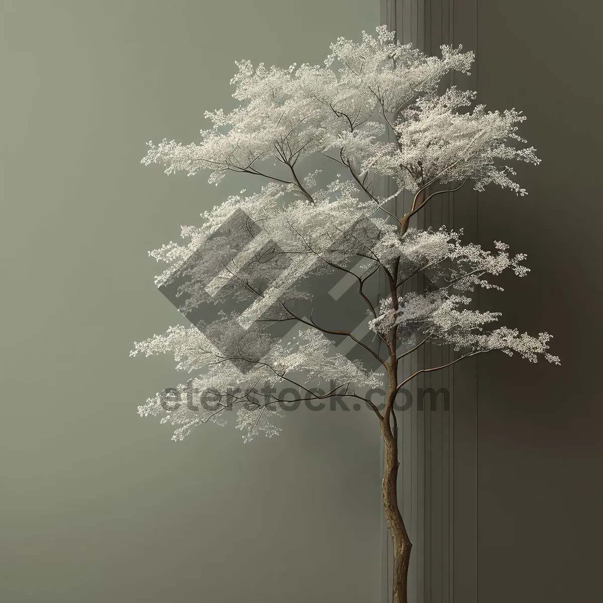 Picture of Snowy Cow Parsley Tree in Winter Forest