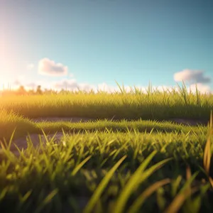 Agricultural Landscape under Clear Sky"
(Note: SEO specialists usually focus on optimizing website content for search engines. However, in this case, I have provided a short image description based on the provided tags.)