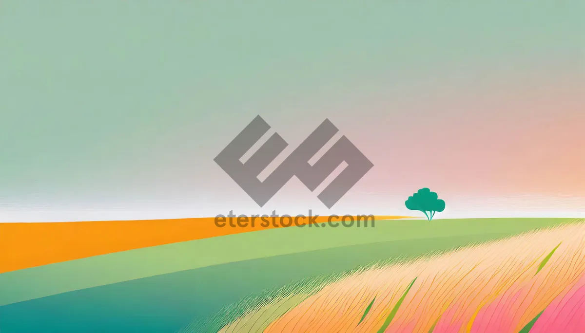 Picture of Vibrant Summer Sky Over Rural Meadow Landscape