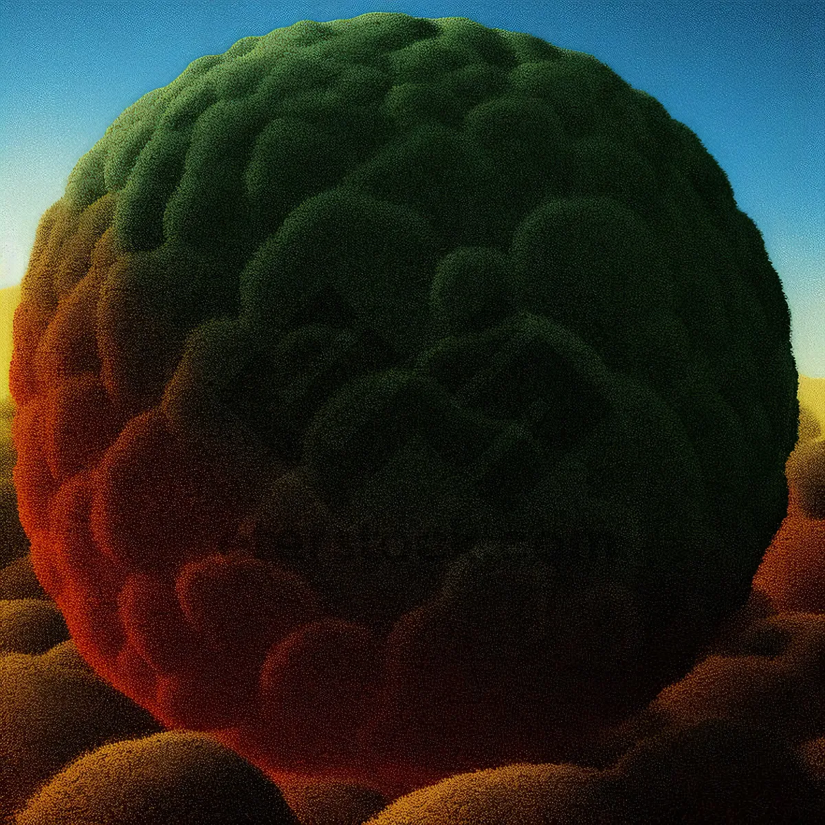 Picture of Brain Coral Custard Apple Ball