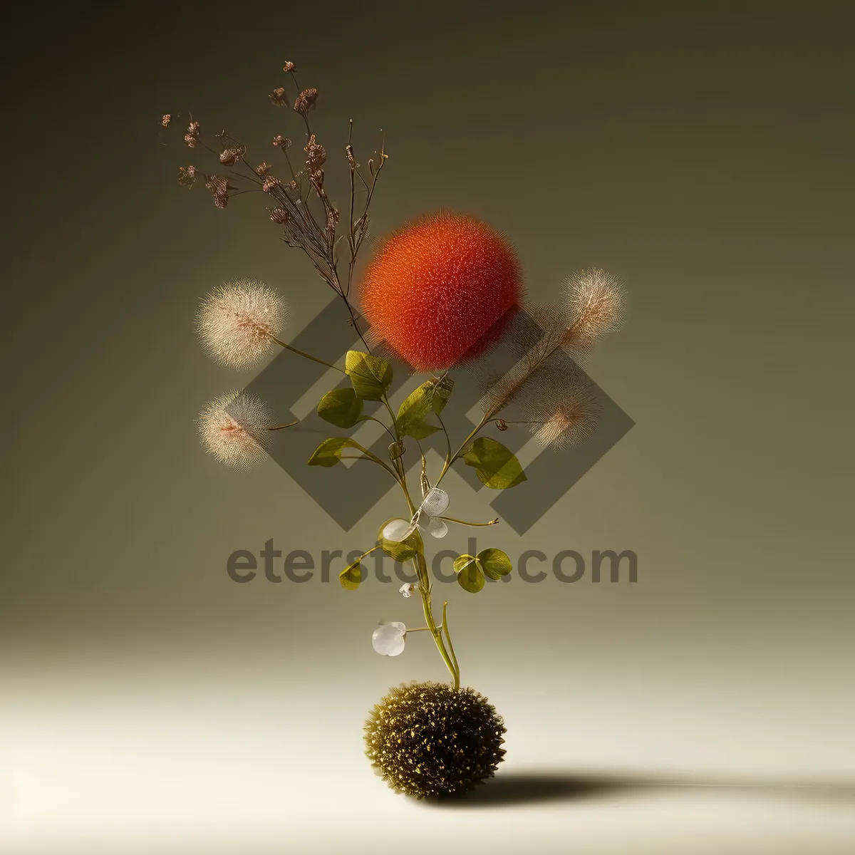 Picture of Fresh Strawberry Closeup in Garden with Blossom