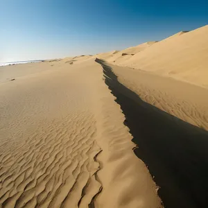 Sunny Sahara - Majestic Sand Dune Landscape