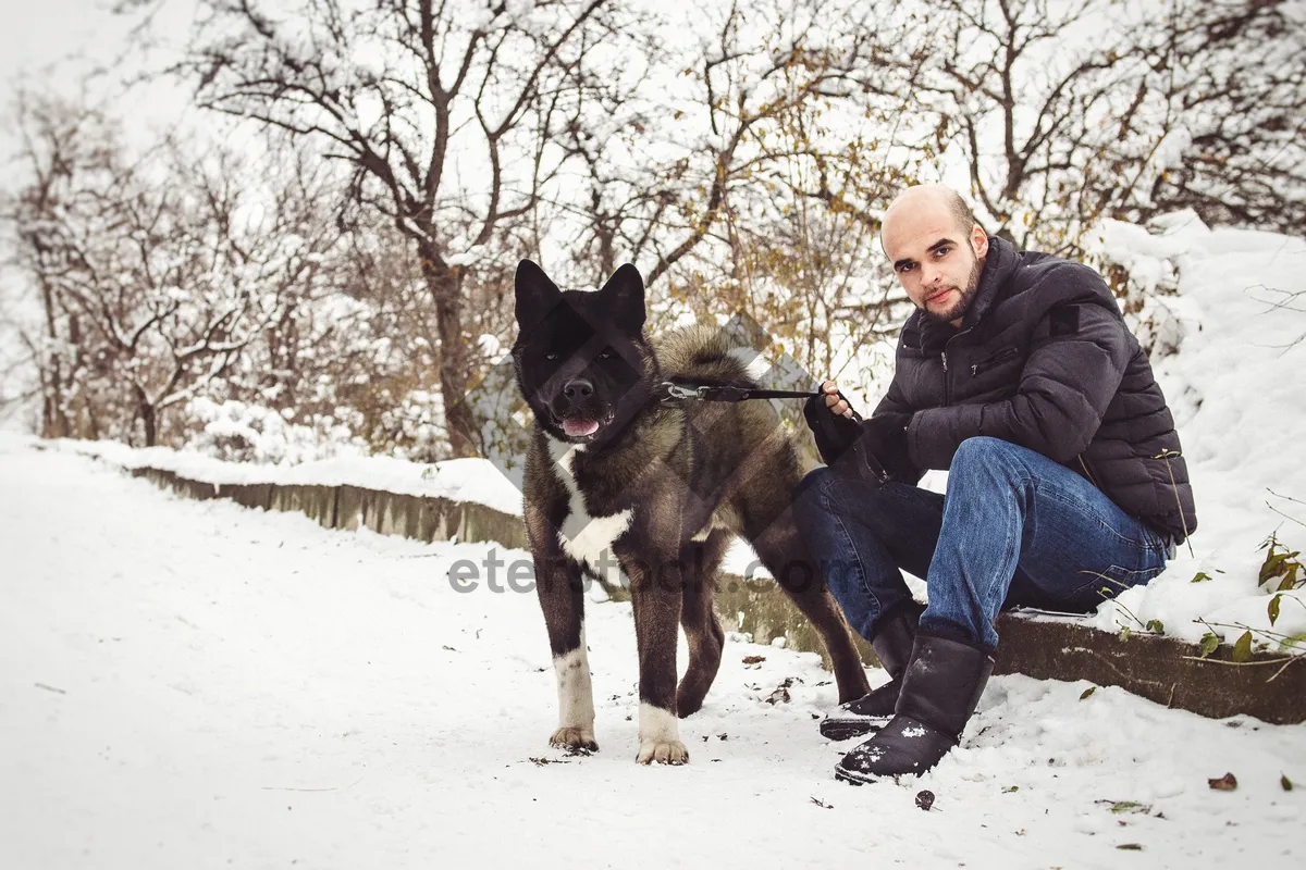 Picture of Frosty Winter Park Landscape with Active Shepherd Dog