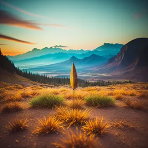 Majestic Desert Sunset with Cactus and Mountains