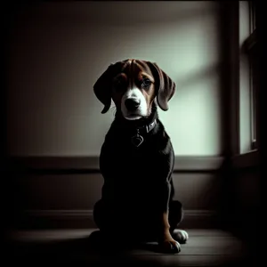 Adorable Beagle Puppy - Hunting Dog Portrait