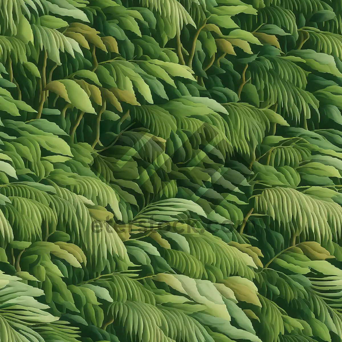 Picture of Lush Varnish Tree Leaves in Tropical Forest