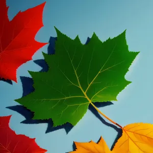 Vibrant Autumn Foliage in Golden Tones