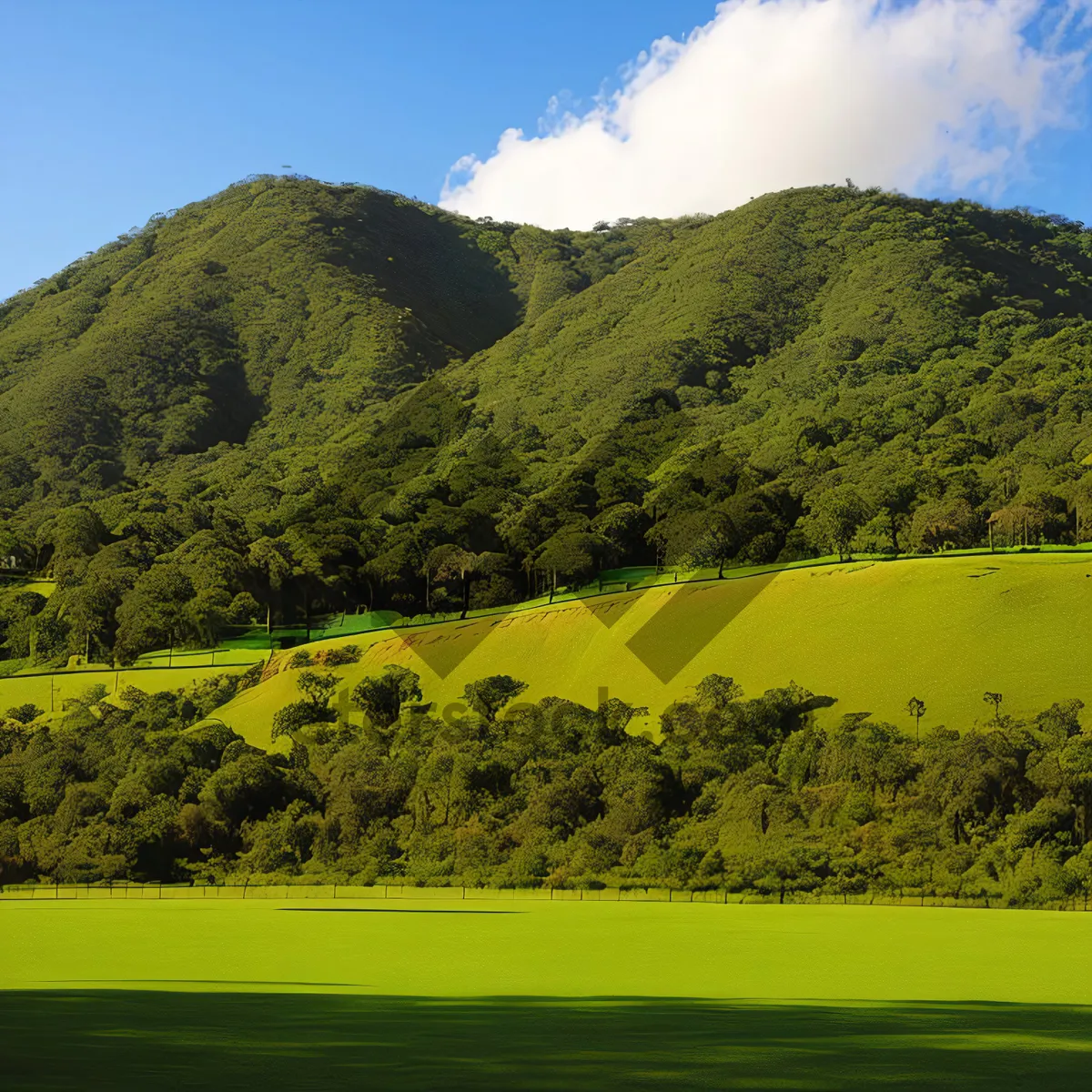 Picture of Highland Mountain Landscape with Rolling Hills