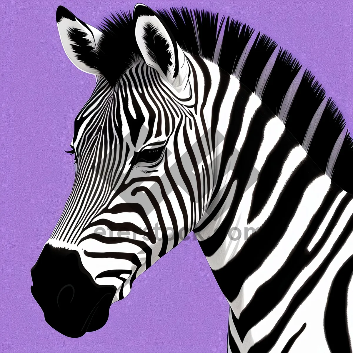 Picture of Striped Equine Grace in South African Safari