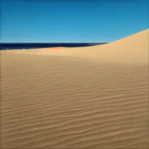 Sunlit Sahara Sand Dunes Landscape