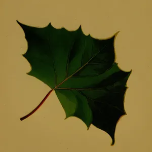 Vibrant Autumn Maple Leaf in Golden Hues