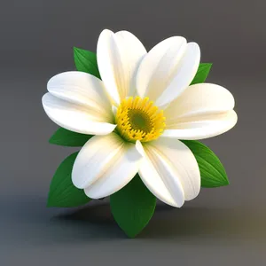 Bright Blooming Daisy with Yellow Petals