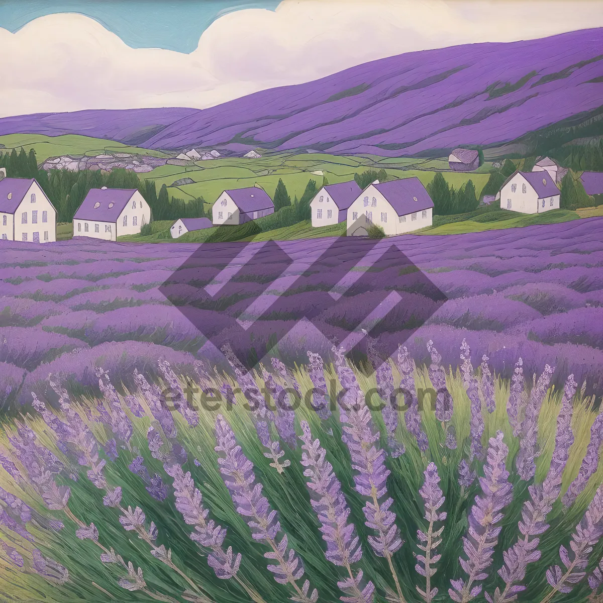 Picture of Lavender Field Bliss