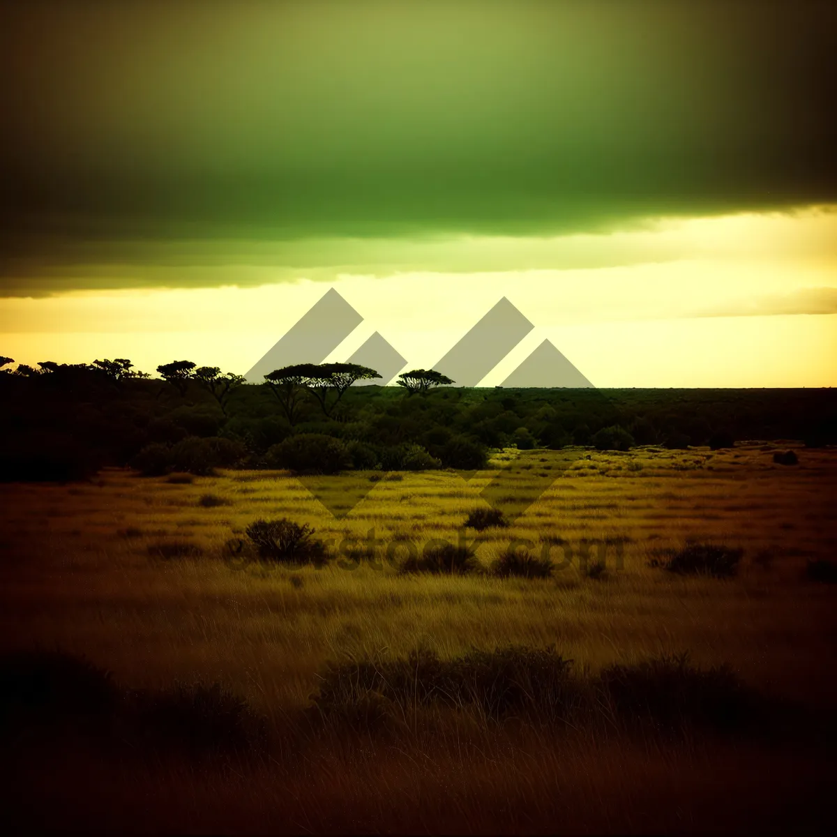 Picture of Golden Horizon at Dusk - Beachside Serenity