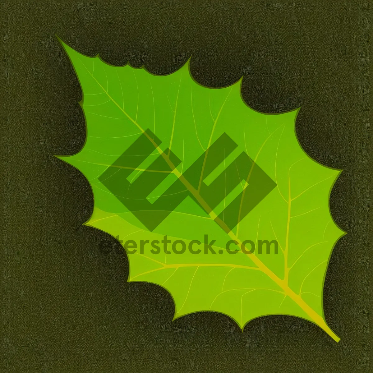 Picture of Colorful Fractal Leaf Pattern on Futuristic Wallpaper