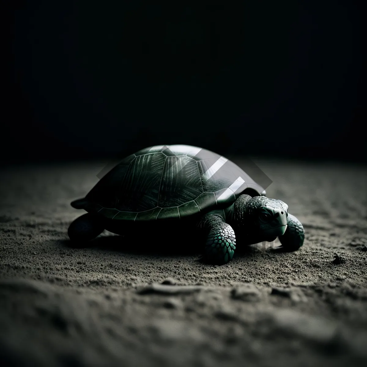 Picture of Serene Shell: Majestic Sea Turtle in Slow Motion