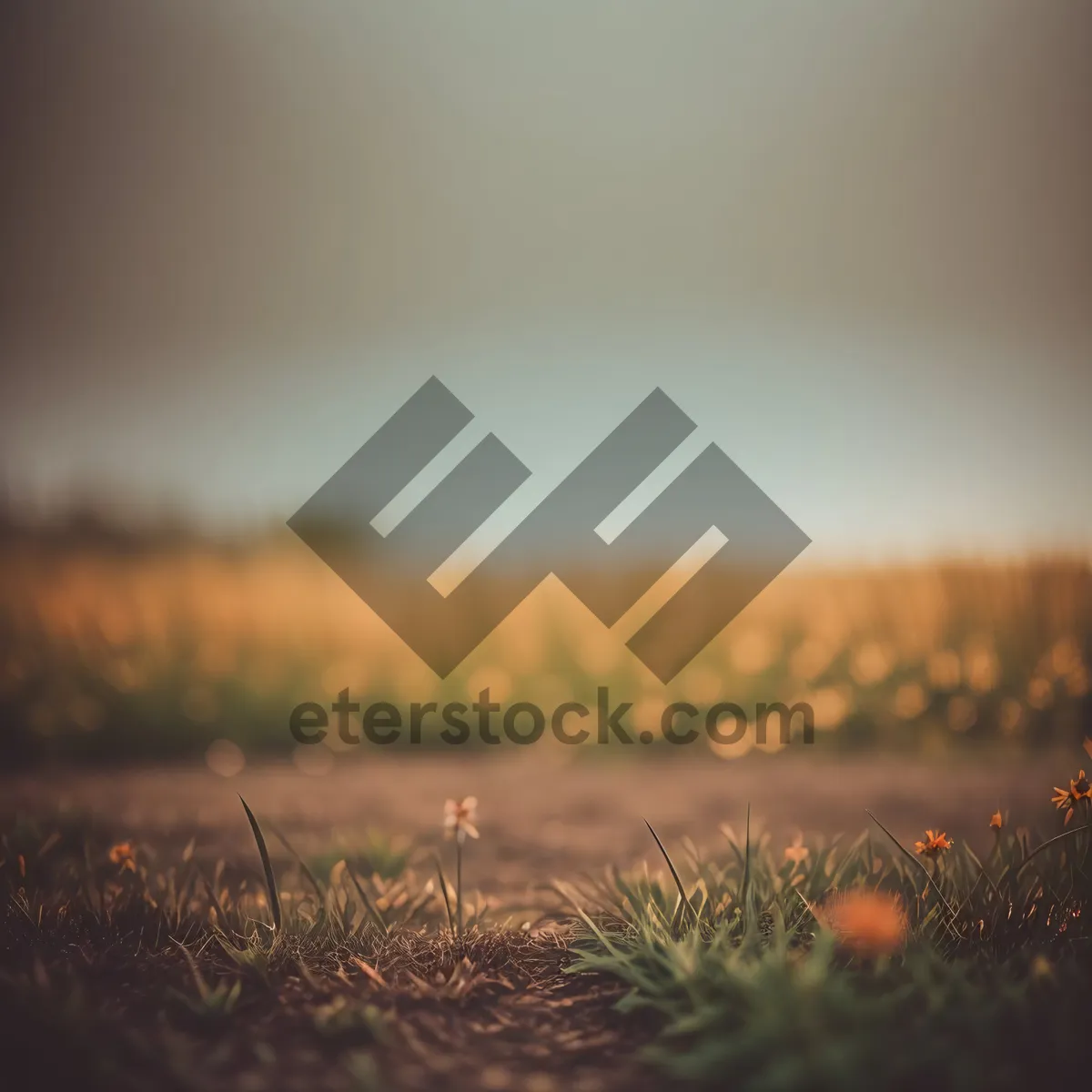 Picture of Golden Horizon: Tranquil Sunrise Over Rural Meadow