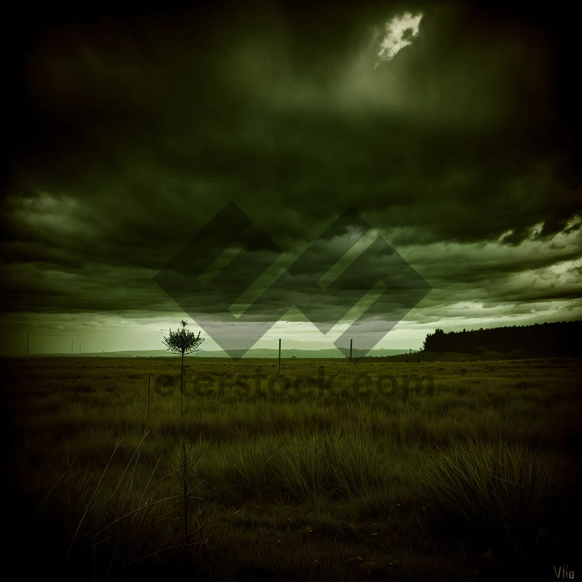 Picture of Golden Horizon: Sunlit Landscape Meets Vast, Cloudy Sky