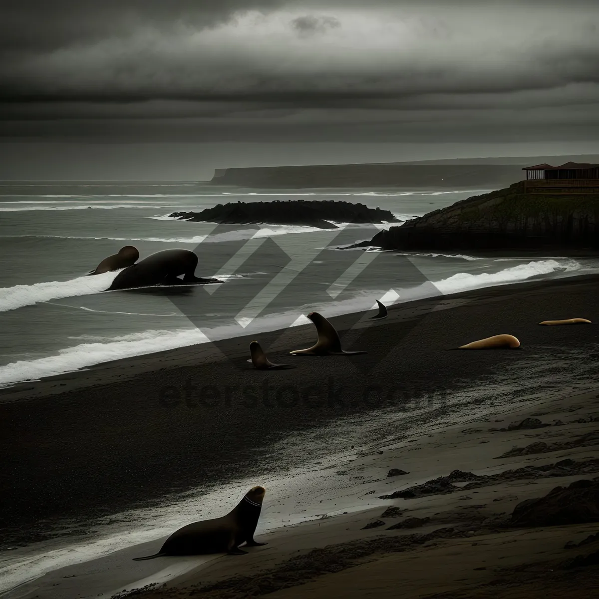 Picture of Sunset Beach Horizon: Tranquil Coastal Waterscape with Boat