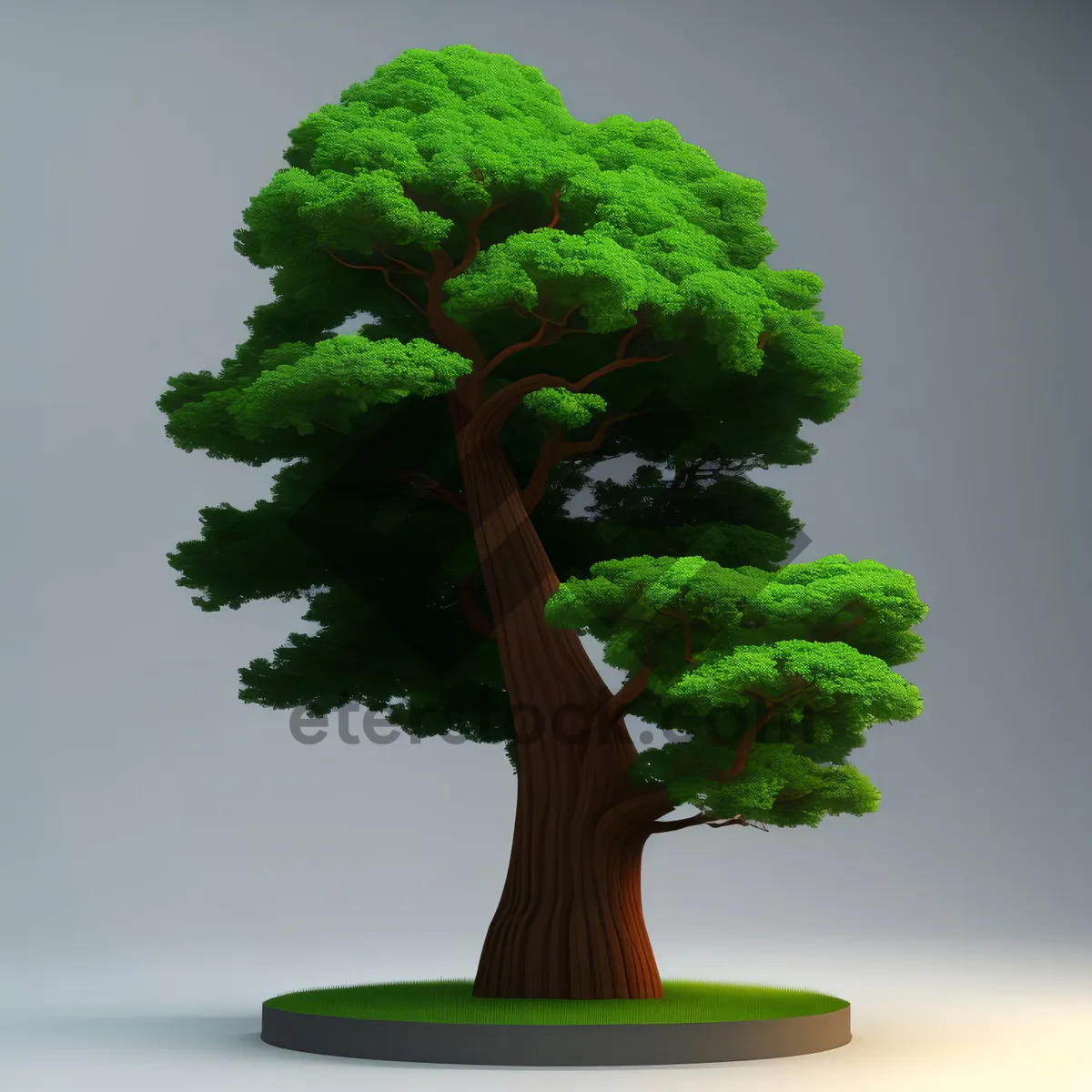 Picture of Miniature organic broccoli plant with fresh green leaves