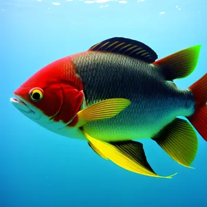 Vibrant Goldfish Swimming in Tropical Aquarium