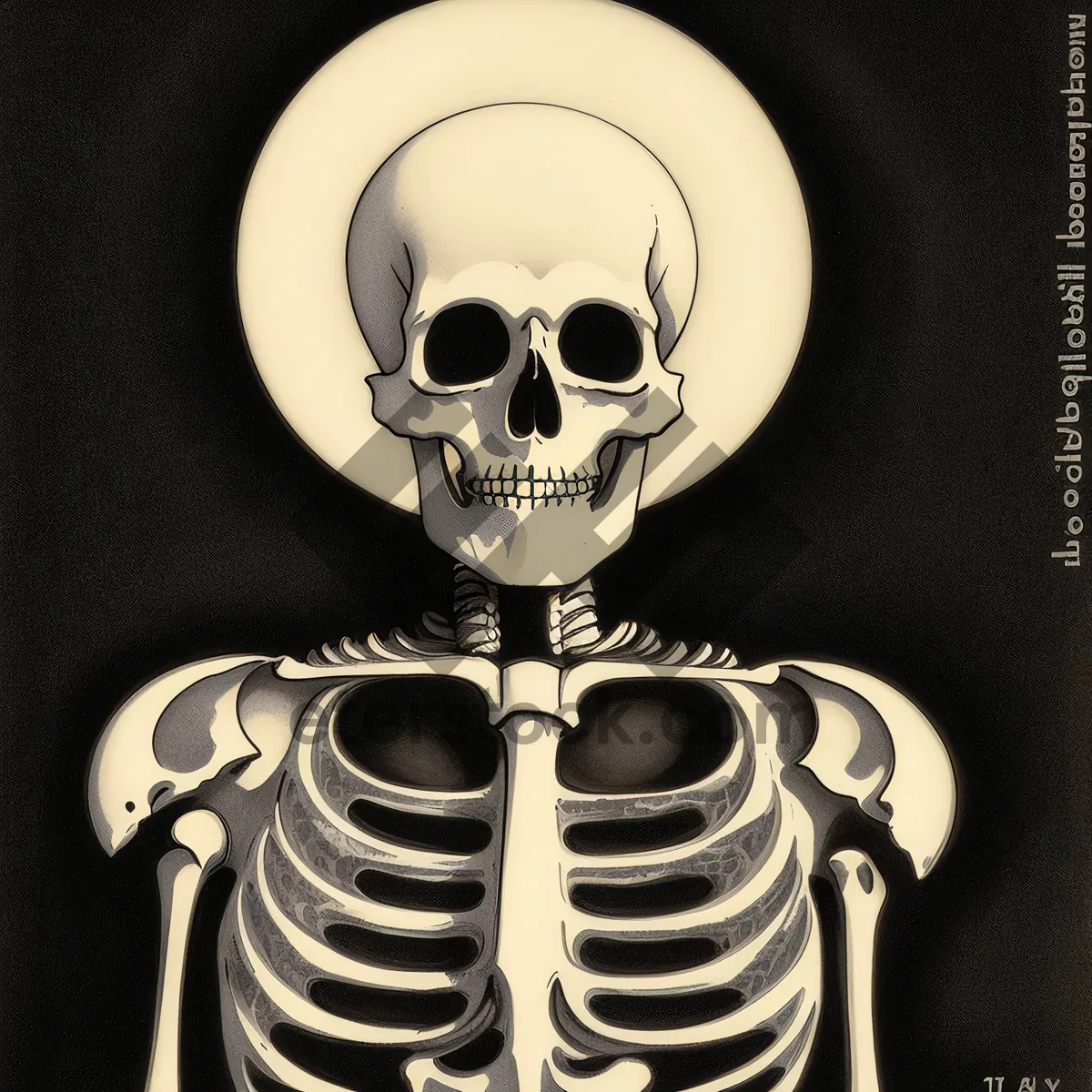 Picture of Black Skull Charm - 3D Anatomy of Human Skeleton