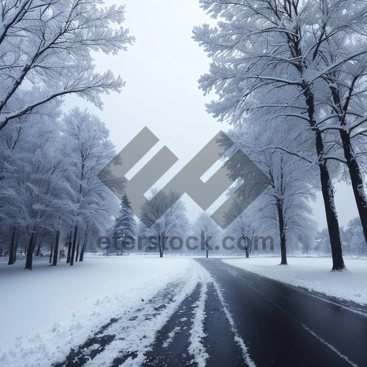Picture of Winter Wonderland: Frozen Landscape with Snowy Trees
