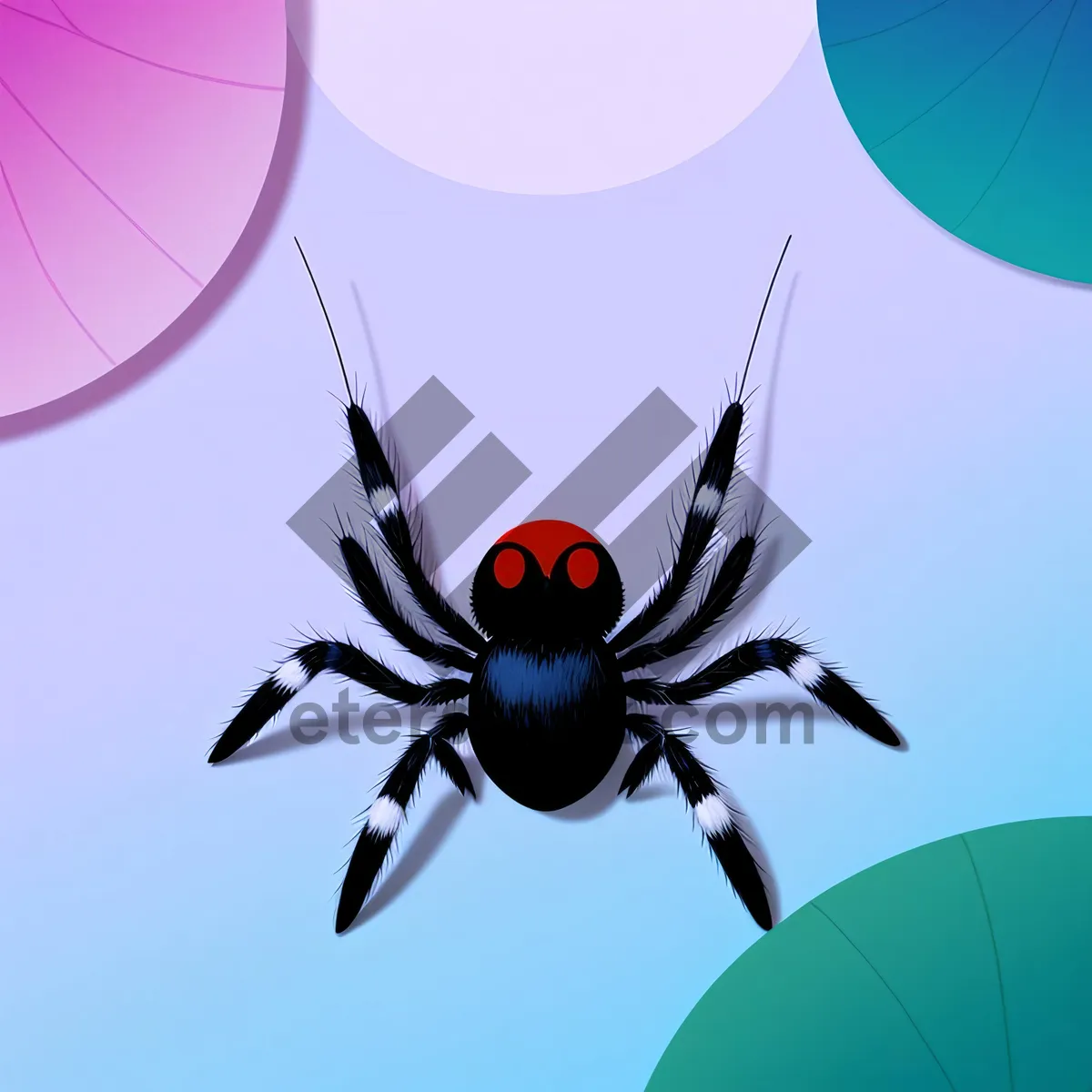 Picture of Spooky Spider Design for Holiday Card