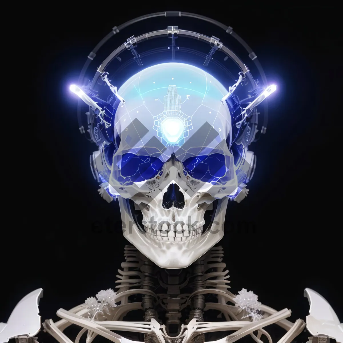 Picture of 3D Sorcerer Skull X-ray Anatomy Illustration