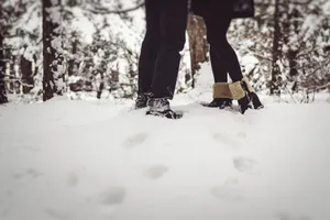 Winter Fun in the Snowy Park