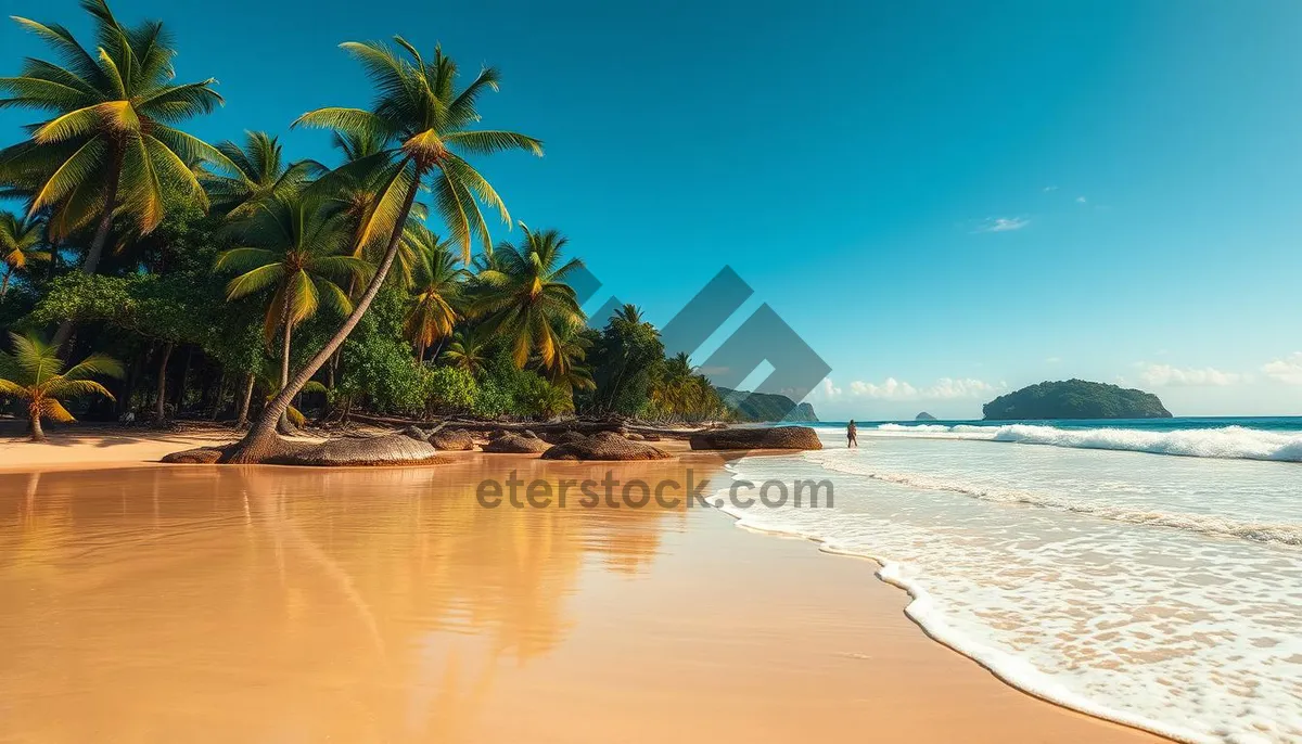 Picture of Tropical Paradise Beach Relaxation Scene With Palm Trees