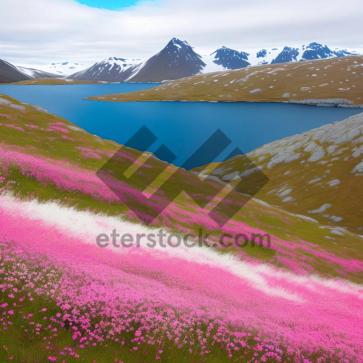 Picture of Colorful Vascular Plant in Textured Fractal Landscape